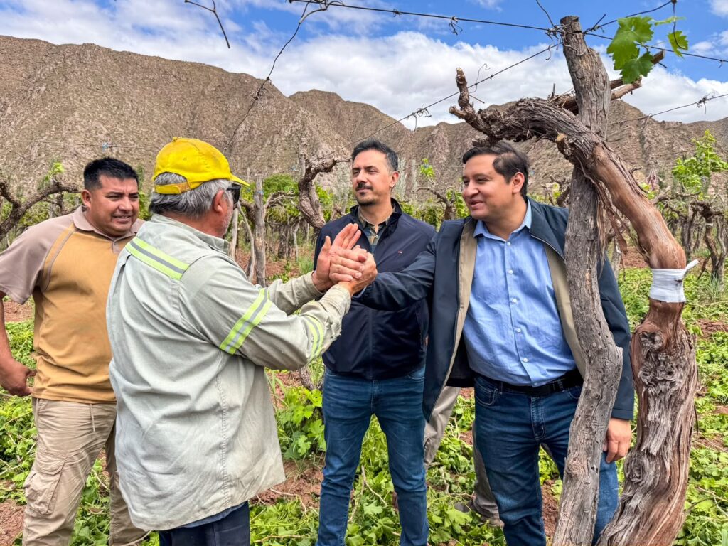 Con una inversión de $10 millones, lanzaron en Tinogasta el plan de Recambio Varietal
